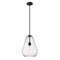Z-Lite Ayra Pendant, 1-Light, 12 In.W x 16.75 In.H, Matte Black/Clear 488P12-MB - alternate 1